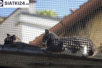 Siatki Nysa - Siatka na balkony dla kota i zabezpieczenie dzieci dla terenów Nysy